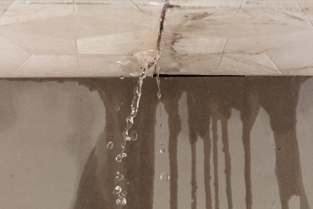 Professional Structural Drying technician working in Loyal, WI